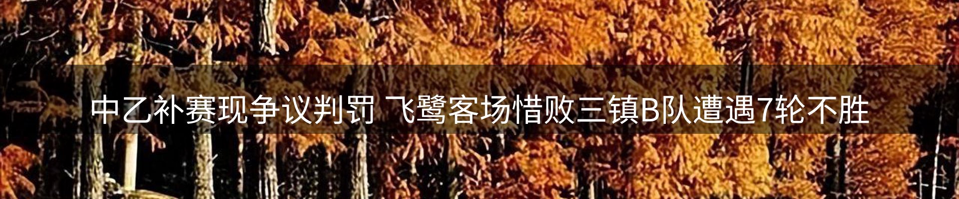 内页banner