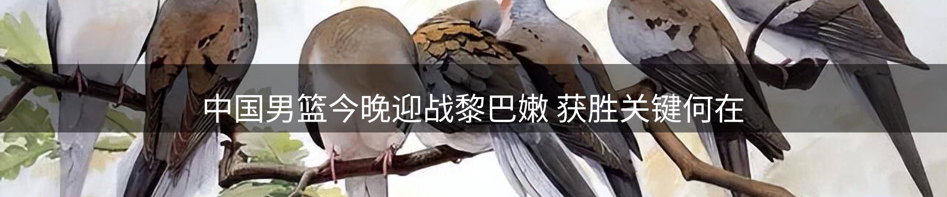 内页banner
