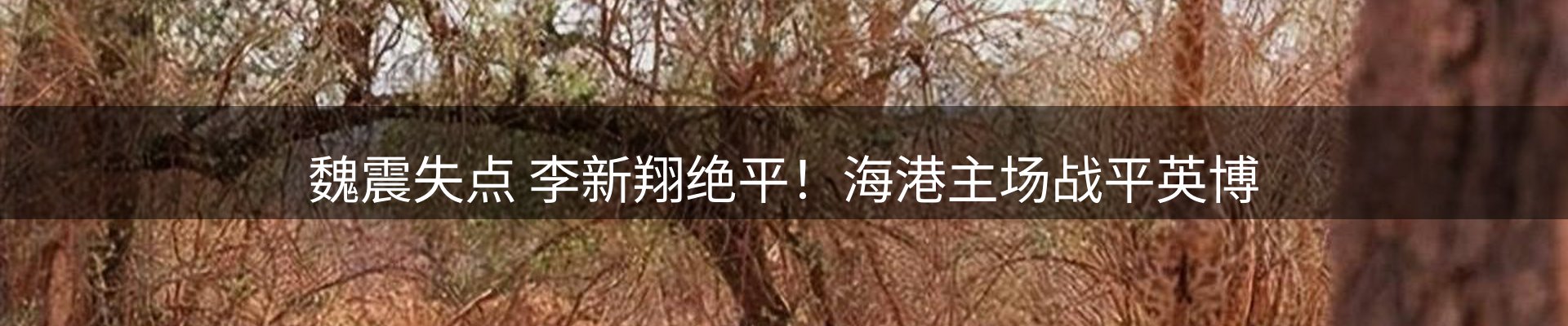 内页banner