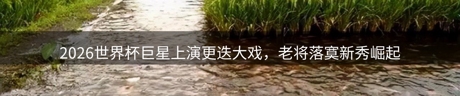 内页banner